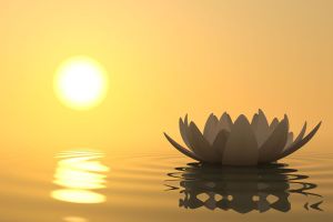 Méditation : point sur les premiers jours