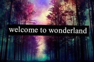 Wonderland, episode 2