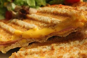 Pain de mie complet au lait ribot