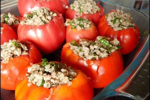 Tomates farcies au boeuf haché