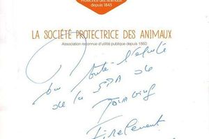 Le soutien de Michel Drucker