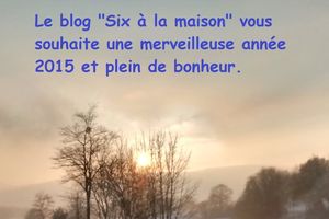 Bonne Année 2015!!