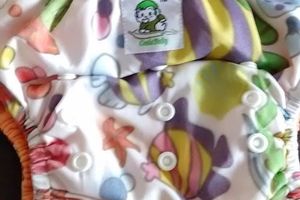 Test de la semaine : la couche culotte coolababy