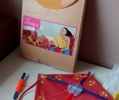 A quoi ils jouent? Box Déclic et des trucs: Cerf Volant