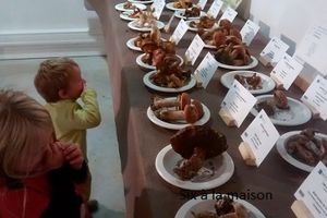Les enfants découvrent les champignons