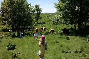 Petits jeux pour occuper les enfants pendants les vacances (à l'extérieur)