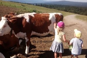 Randonnée avec des enfants de 3 et 5 ans.