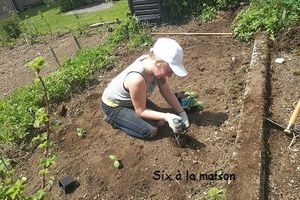 Nouveaux animaux et petit jardin - L'enfant et la nature