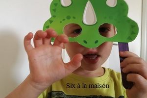 Toucan Box (suite) Kit dinosaure + Cadeau (pour tous)