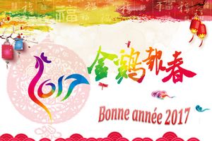 Nouvel An chinois 2017