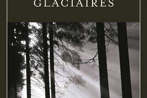 Temps glaciaires de Fred Vargas
