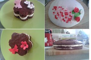 Une recette de gâteau qui ressemble à un gâteau industriel bien connu des enfants, mais sans les trucs qui ne servent à rien!