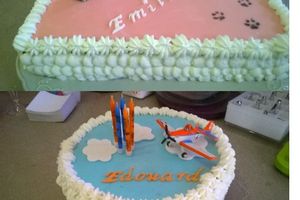 Gâteaux planes et chats!