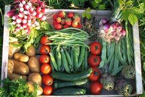 Marché à la Ferme le 20 Août 2015,à St Germé (32400)