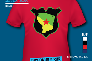 T-shirt France: Guyane 973 - Badge/Ecusson.