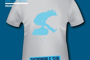 T-shirt France - Basse et Haute Normandie - Vaches Normandes.