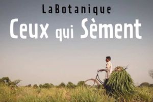 Documentaire - Ceux qui sèment ...
