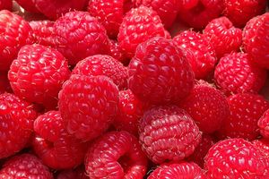 Gâteau glacé à la framboise ou à la myrtille.