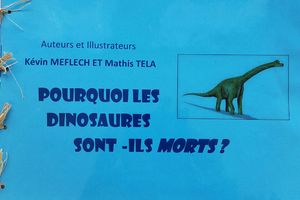 Les livres des CE1