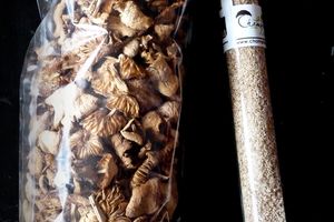 Une solution pour ceux qui n'habitent pas "dans un coin à champignons"