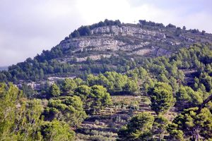 Les collines de Pagnol