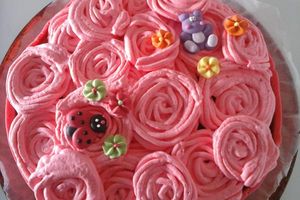 Framboisier d'anniversaire!