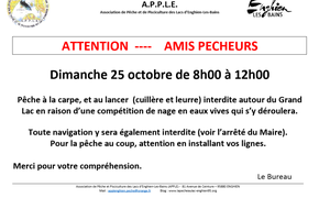 Compétition de nage