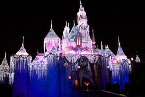 Disney Look