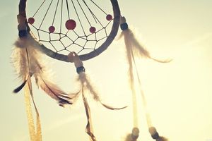 Little Bird, de Craig Johnson