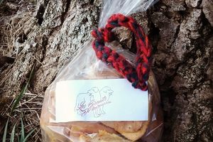 Une recette de biscuits végans et sa version végétarienne, pour aboyer de plaisir !
