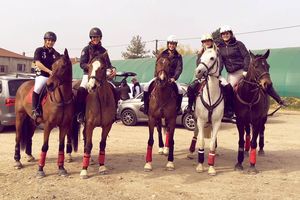 LA PETITE CHRONIQUE DE L’OUEST LYON HORSE BALL