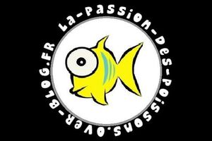 Bienvenue !!!