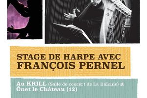 Stage de harpe avec François Pernel
