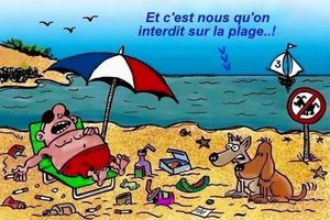 Oui pas faut