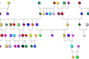 PSICOGENEALOGIA 6 - Genogramma o albero psicogenealogico, costellazioni psicogenealogiche