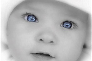 Seminario di psicogenealogia: il Progetto Senso