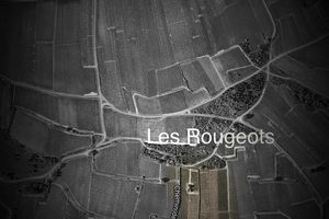 Meursault Les Rougeots