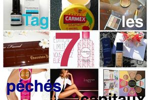 Tag - Les 7 péchés capitaux