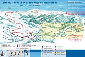 Noël vert ... ou presque !