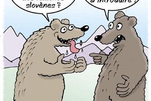 La Slovénie en voyage à vélo ... quelques idées en vrac !