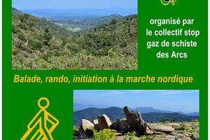 Affiche du pique-nique 2017