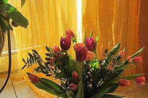 Blüten