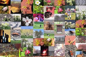 Foto Rückblick April