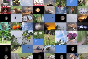 Fotorückblick September