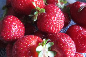 Erdbeeren
