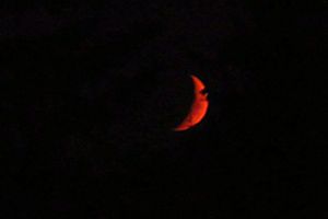 rote Mondsichel