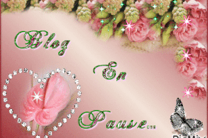 Blog en pause temporaire