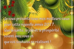 Un pique-aiguilles marin prêt à partir !