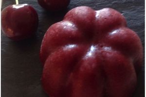 Sorbet aux cerises