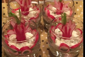 Verrine radis chèvre